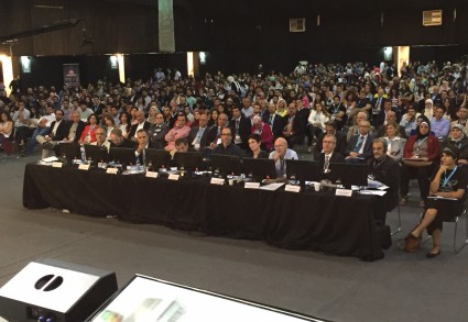 Bespoke Carrara Marble Installations