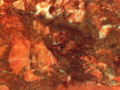 BRECCIA PERNICE