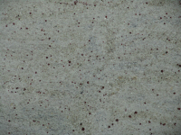  kashmir white