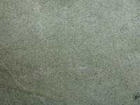 Coast Green