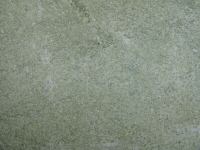 Coast Green