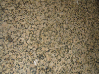 granite Golden Butterfly