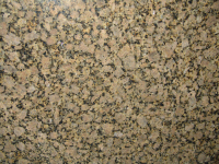 granite Golden Butterfly