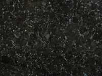 granite blue Butterfly