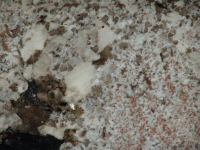 granite Antique white