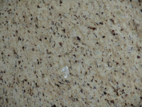 granite Giallo Ornamentale