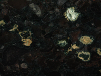 granite Brown Beauty
