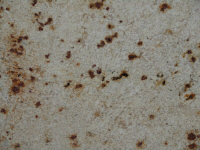 Marmo Colonial Gold