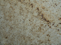 Marmo Colonial Gold