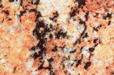 AFRICAN JUPARANA slabs tiles project