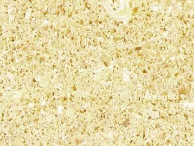 ALBAMIEL slabs tiles project