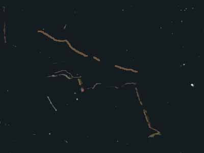 ALBARA BLACK slabs tiles project