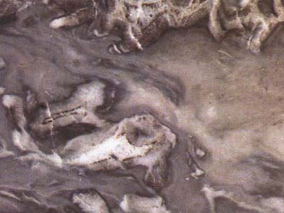 BLU ARGENTO slabs tiles project