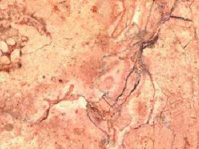 BOTCINO slabs tiles project