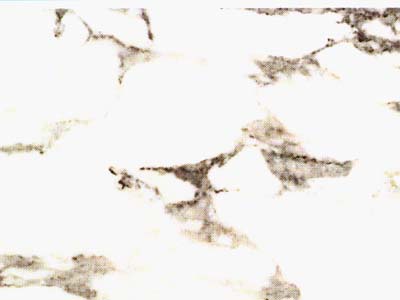 BRECCIA STAZZEMA slabs tiles project