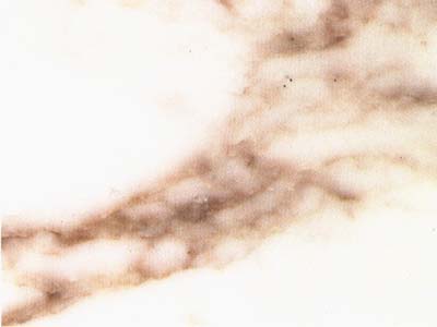 CALACATTA CAMPOCECINA slabs tiles project