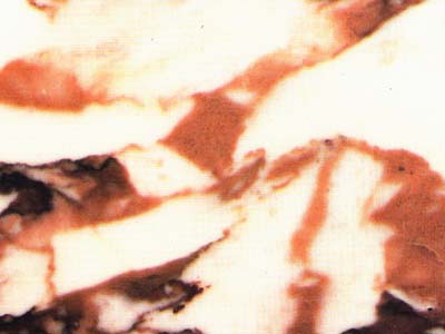 CALACATTA VAGLI ROSATO slabs tiles project