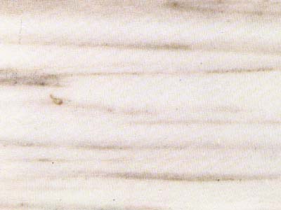 CALACATTA ZEBRINO slabs tiles project