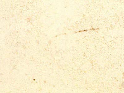 CALIZA ZARCI slabs tiles project