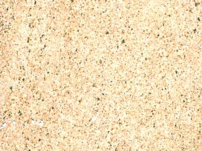 CHATEAU LANDON slabs tiles project