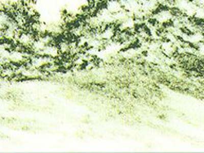 DANBY MERIPOSA slabs tiles project