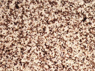 EITZING slabs tiles project