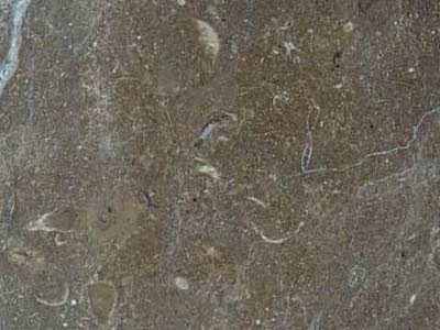 EMGONI MARRON slabs tiles project