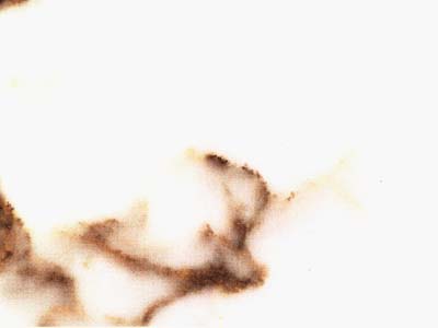 FANTASTICO ARNI slabs tiles project