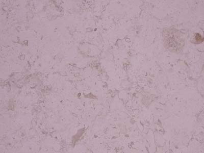 FLORENZA slabs tiles project