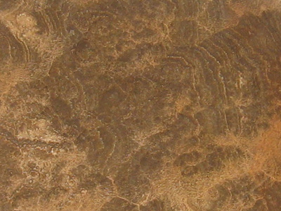 IMPERIAL WOOD DARK slabs tiles project