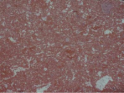 IRAN G 163 slabs tiles project