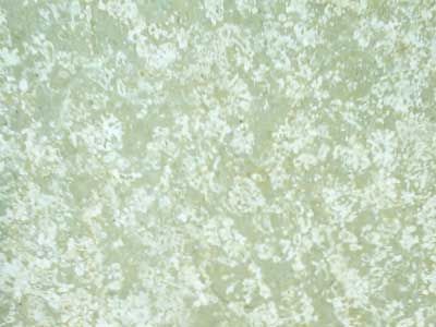 IRAN M 217 slabs tiles project