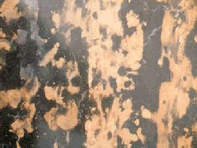 KIND GOLD slabs tiles project