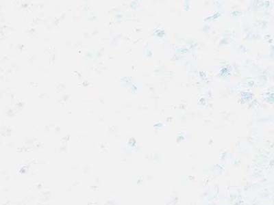 M 6101 slabs tiles project