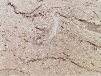 MEZZA PERLA slabs tiles project