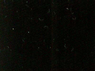 NEGRO MONTERREY slabs tiles project