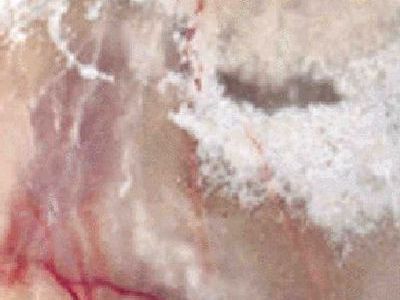 ONYX MEDIUM slabs tiles project