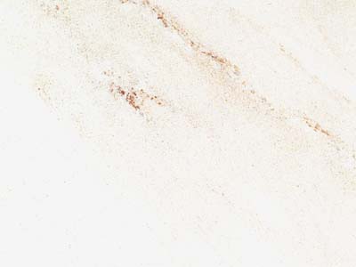 PALISSANDRO slabs tiles project