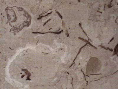 PENUELA slabs tiles project