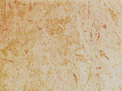 PERLATO SVEVO slabs tiles project