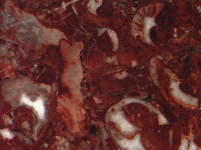 ROJO DANIEL slabs tiles project