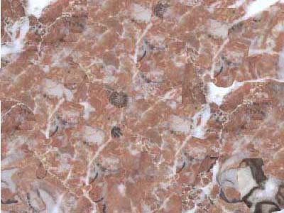 ROUGE ROYAL slabs tiles project