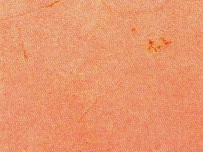 S 1805 C B slabs tiles project