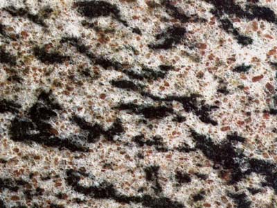 TIGER WHITE slabs tiles project