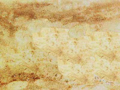 TRAVERTINO IBERICO slabs tiles project