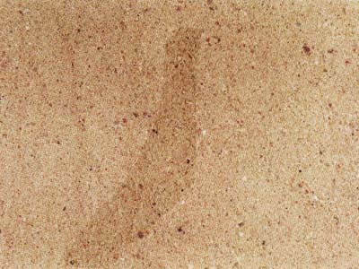 TREBGAST slabs tiles project