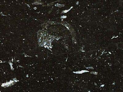 VYTINA BLACK slabs tiles project